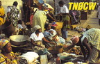 TN0CW (1994)